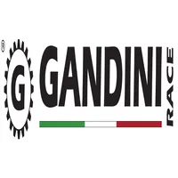 GANDINI RACING Logo