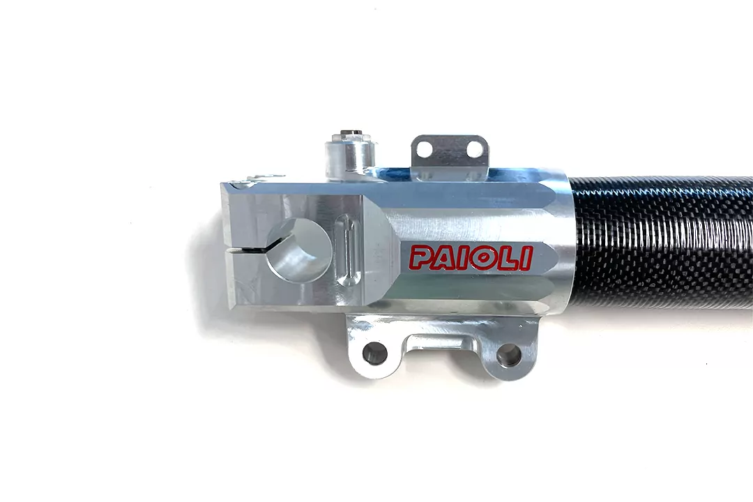 alpha Technik PAIOLI Motorradgabel RSU 46 Ducati Monster Gabel