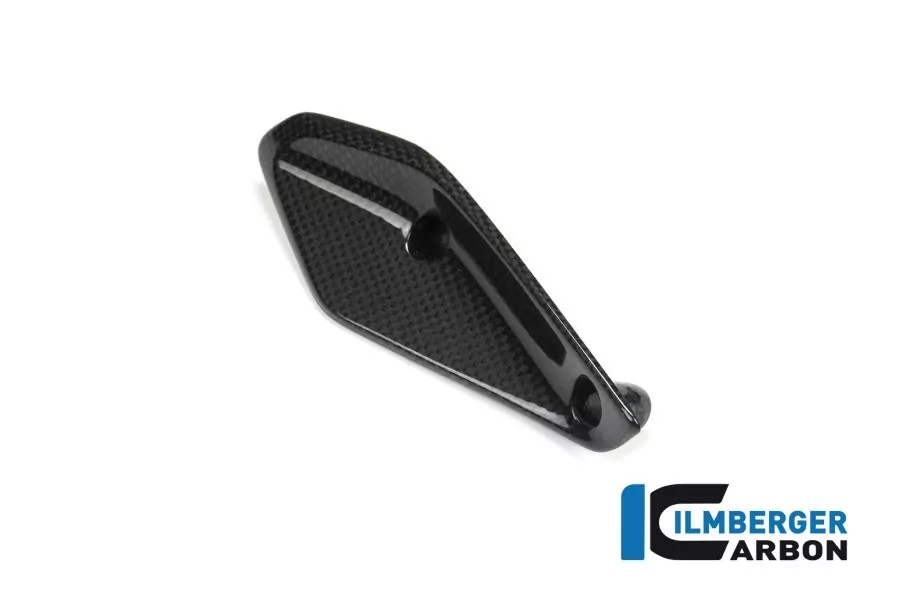 Ilmberger Carbon Verkleidungswinglet rechts