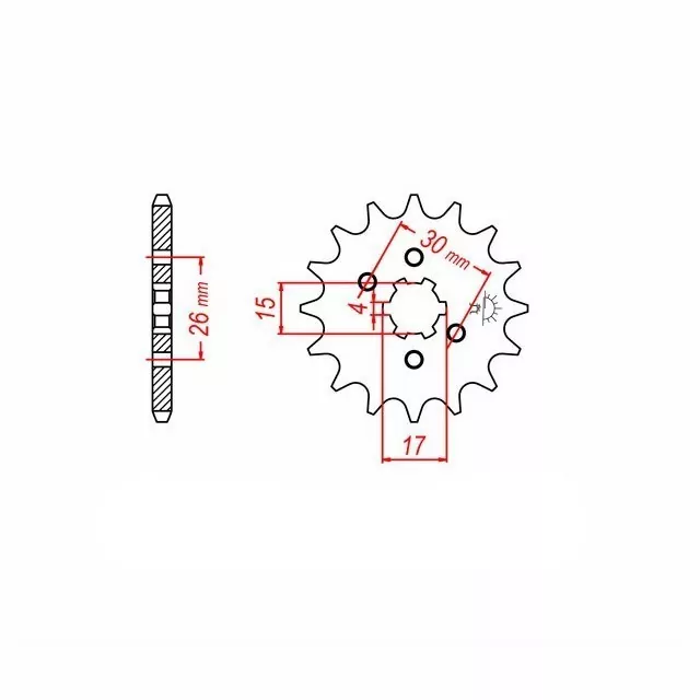 Ritzel 14 Zähne Teilung 420