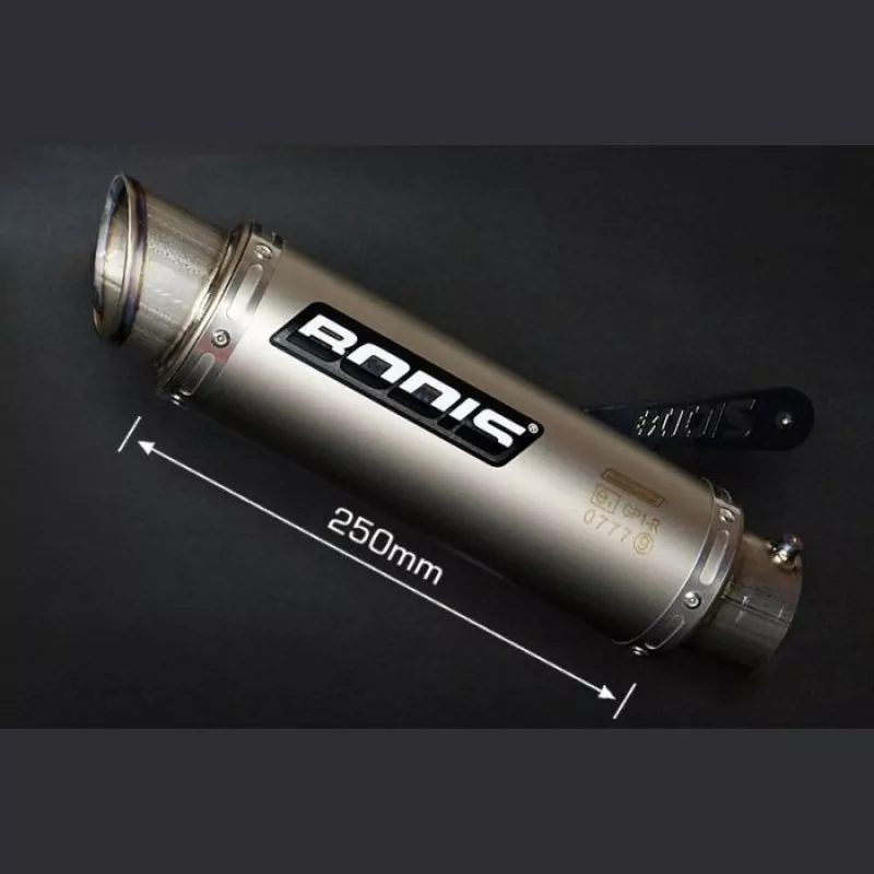 Bodis GP1-R Black Auspuff Endschalldämpfer BMW S 1000 R 2014-2016