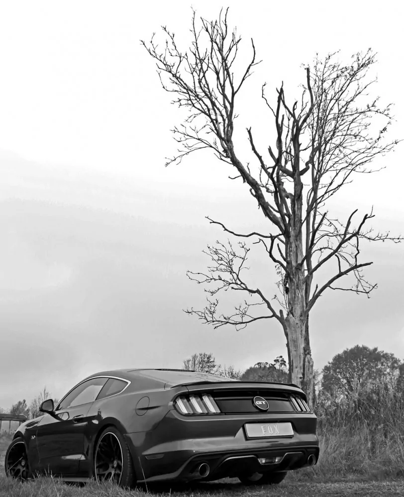 Ford Mustang Coupe & Cabrio - 4-Zylinder  Endschalldämpfer rechts/links - 1x100 Typ 25 rechts/links