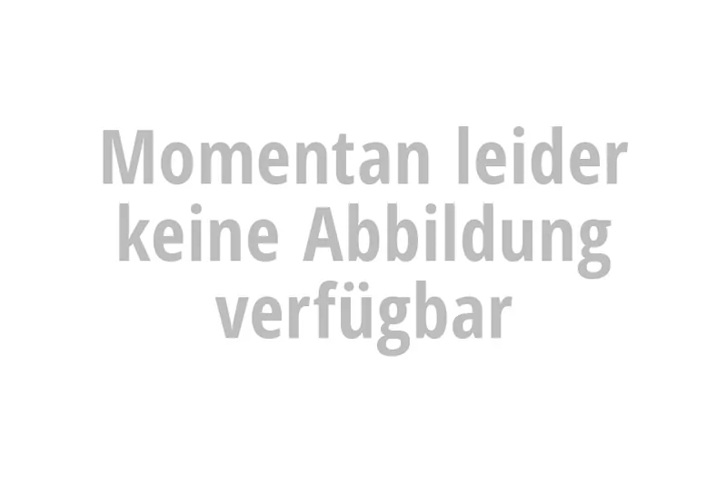 IXIL Auspuffschelle für HEXOVAL XTREM Endschalldämpfer