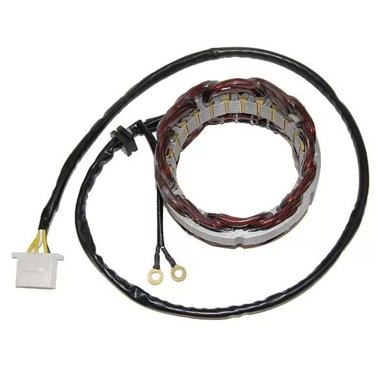 ElectroSport Stator ESG21 für Lichtmaschine