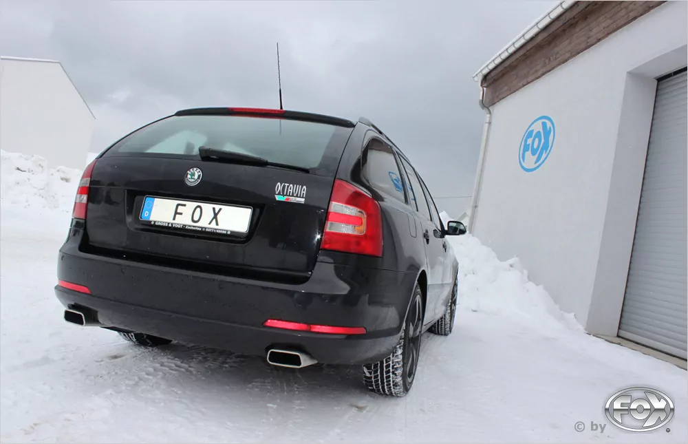 Skoda Octavia Typ RS 1Z inkl. Facelift  Endschalldämpfer rechts/links - 145x65 Typ 59 rechts/links