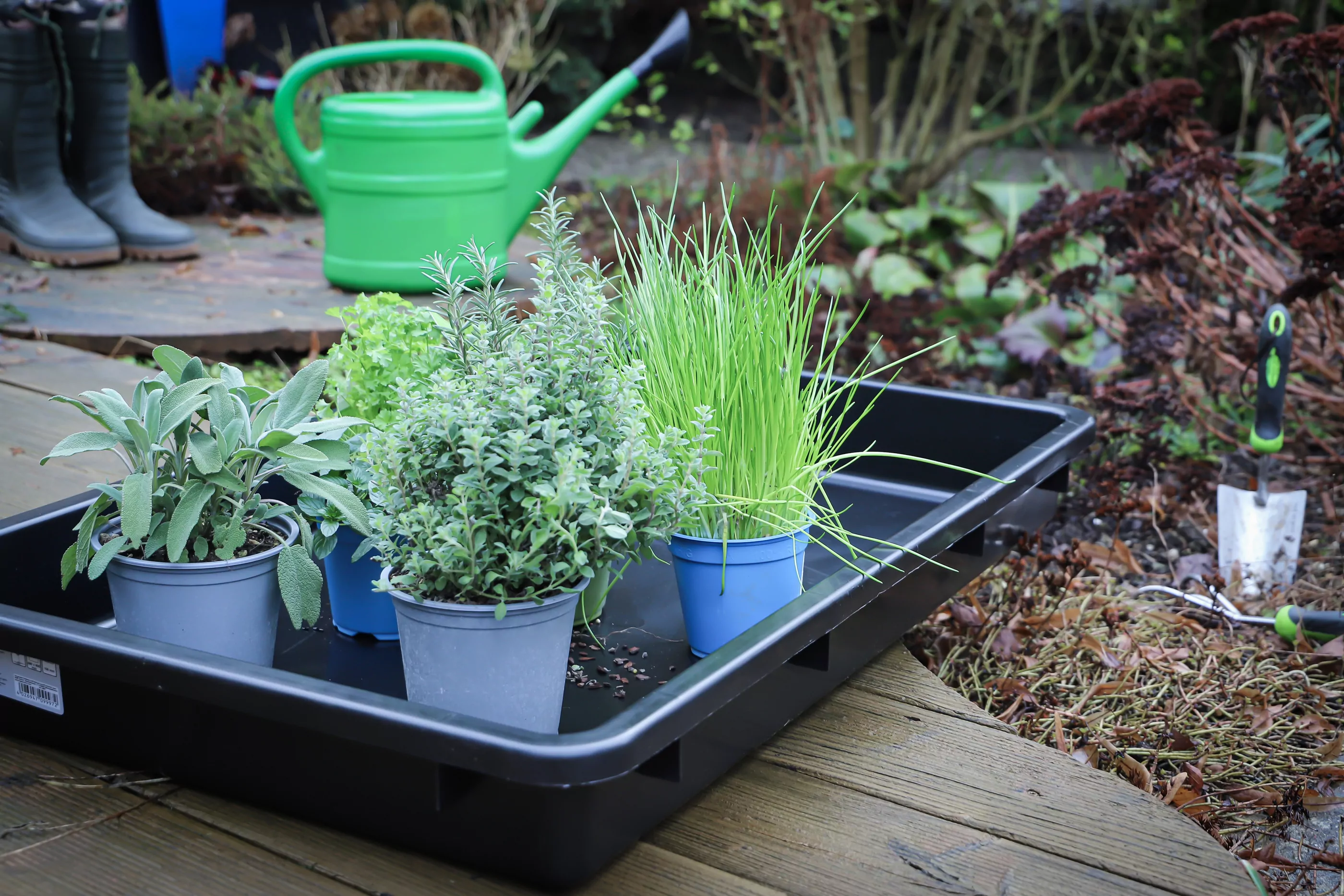 Mehrzweckwanne mit Ausgießer | schwarz | 50 l