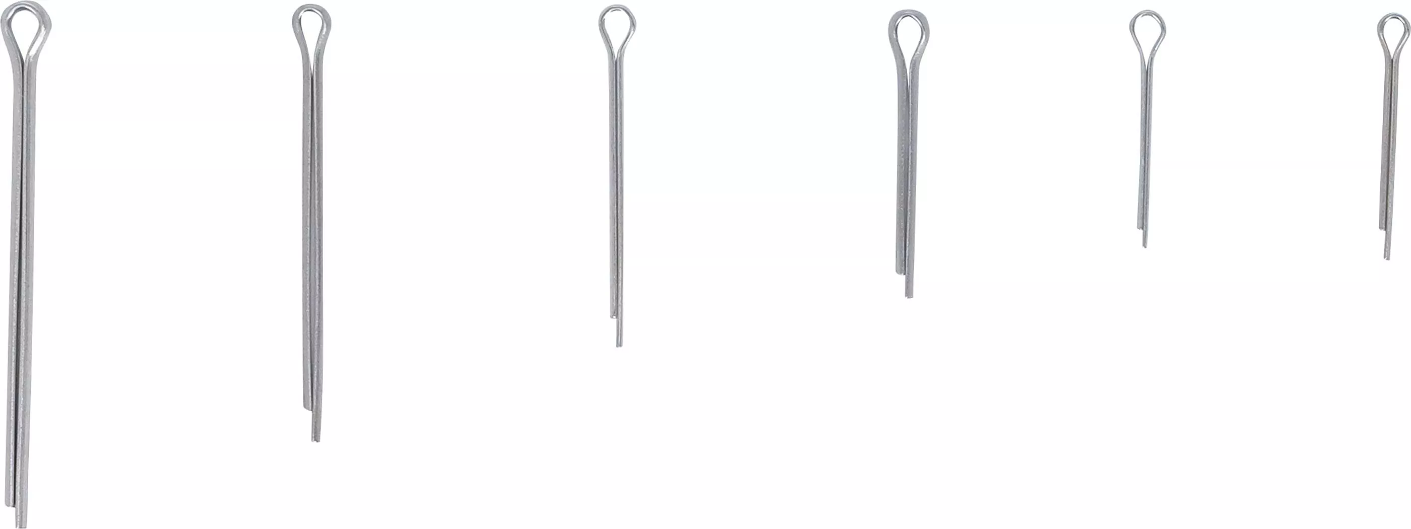 Splinte-Sortiment | Edelstahl | Ø 1,6 - 4,0 mm | 555-tlg.