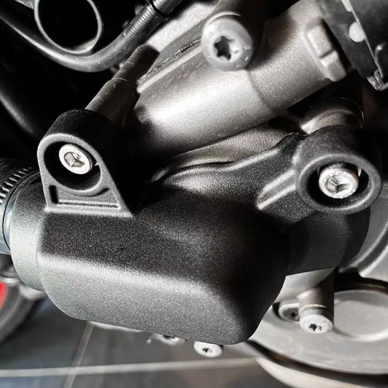 GB Racing Wasserpumpe Protektor Ducati Supersport 939 / 950 2017- / MTS 1260 2018- / Hypermotard 939