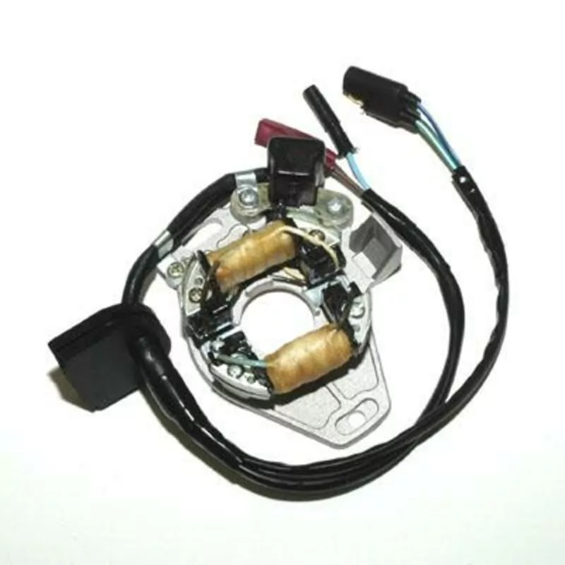 ElectroSport Stator ESC1060 für Lichtmaschine