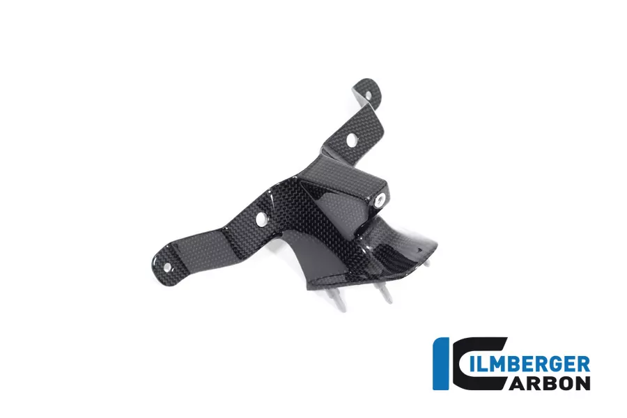 Ilmberger Carbon Armaturenabdeckung glanz für Ducati Streetfighter V4 2020-