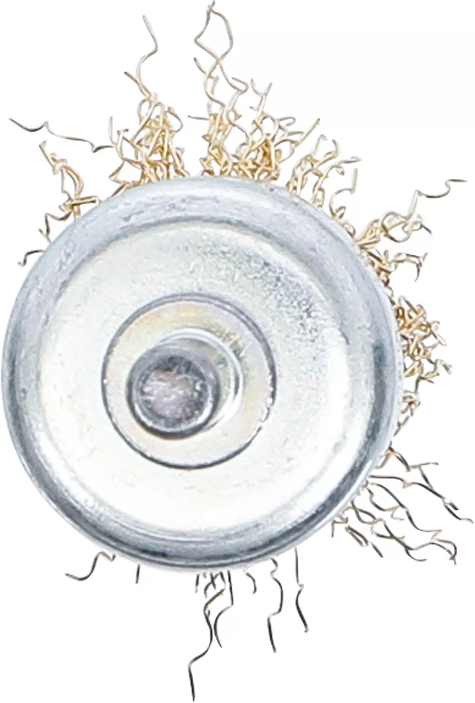 Pinsel-Drahtbürste | vermessingt | Ø 25 mm