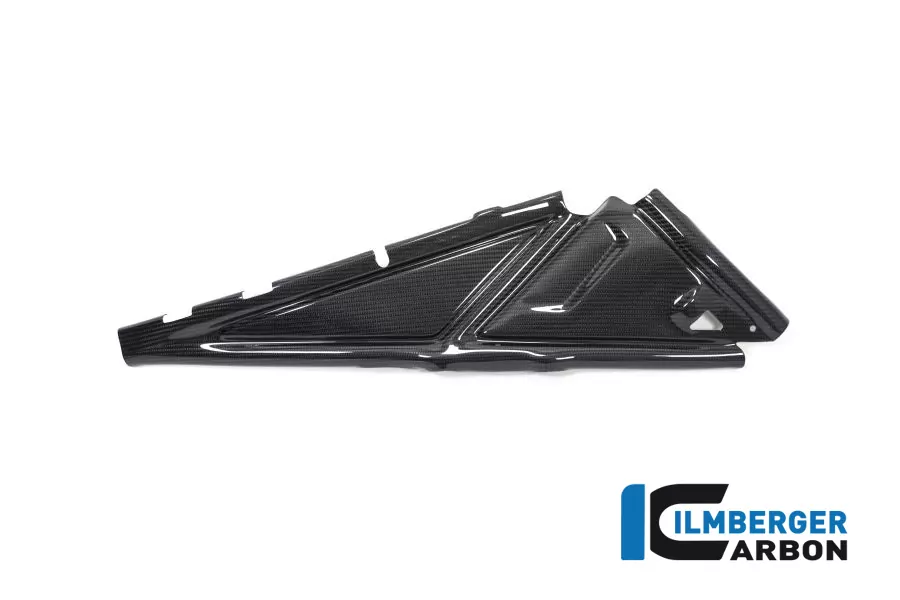 Rahmenheckcover rechts Carbon für BMW R1250GS (Adventure) ab 2019