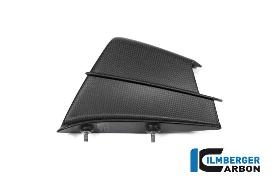 Carbon Winglets für Ducati Panigale V4 R ab BJ 2019 rechts matt