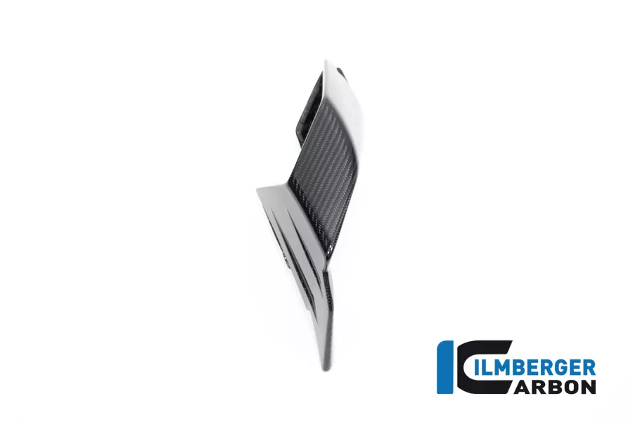 Wingletnachrüstkit aus Carbon für BMW S1000RR ab 2019- und M1000RR ab 2020-