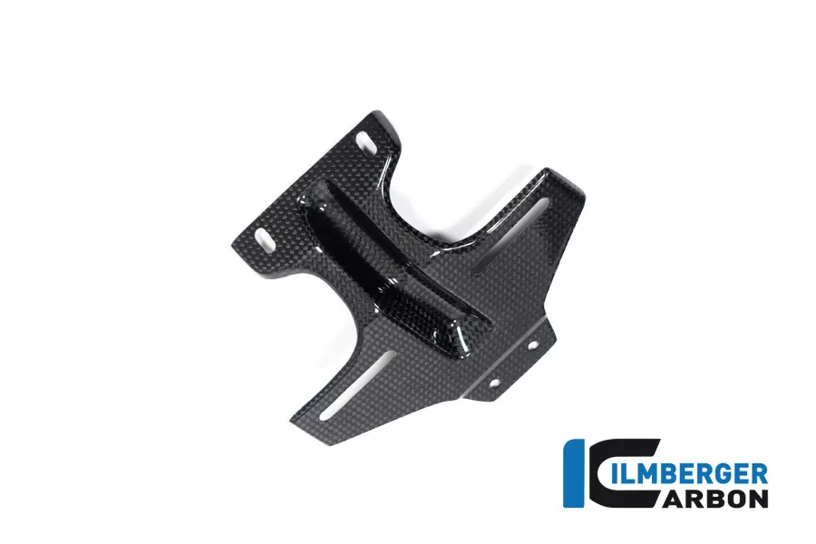 Verkleidungswinglet links aus Carbon für BMW M1000RR ab Modelljahr 2020-