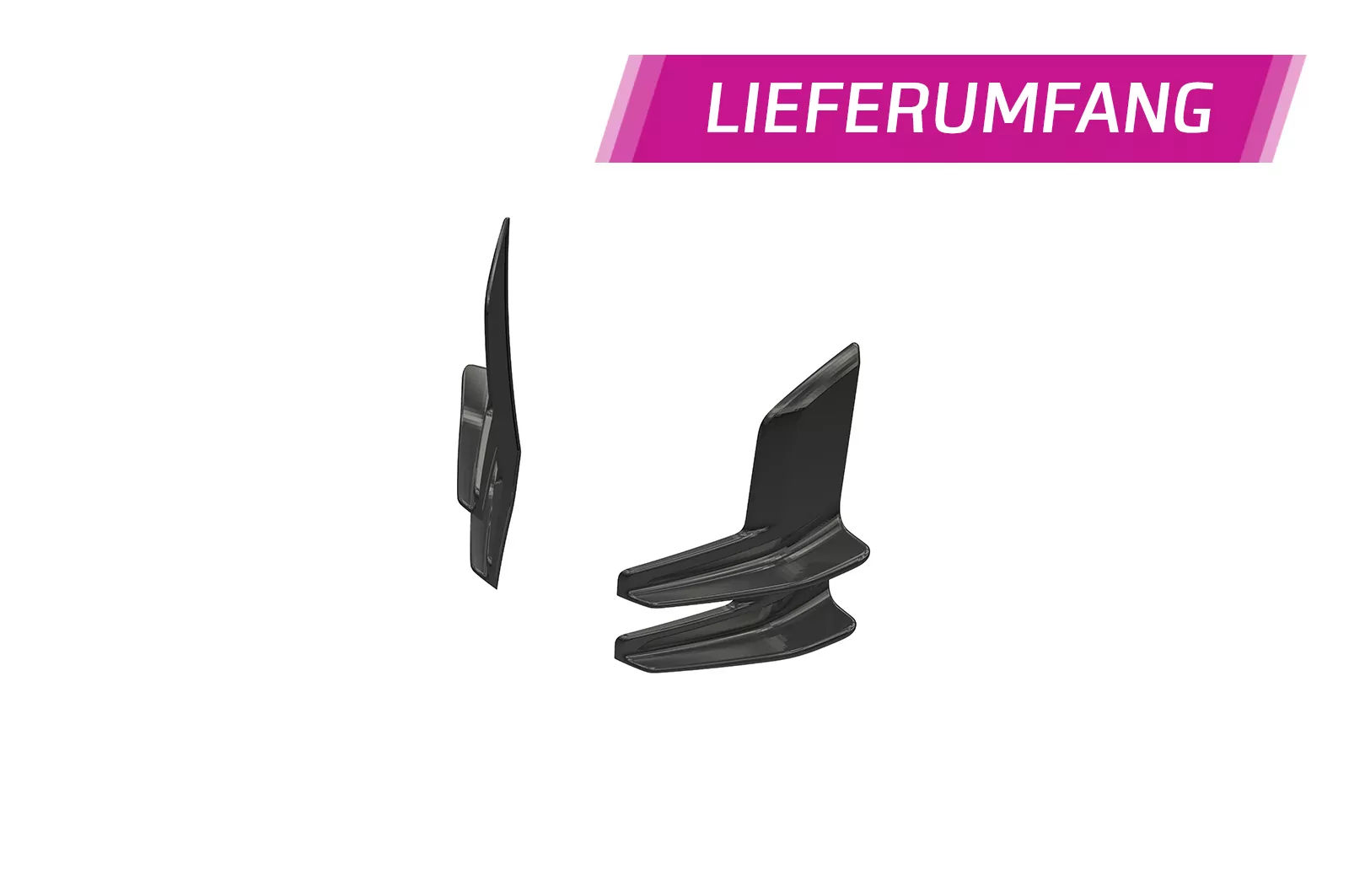 Performance Flaps für Audi R8 (Typ 4S) FP014 Schwarz Strukturiert