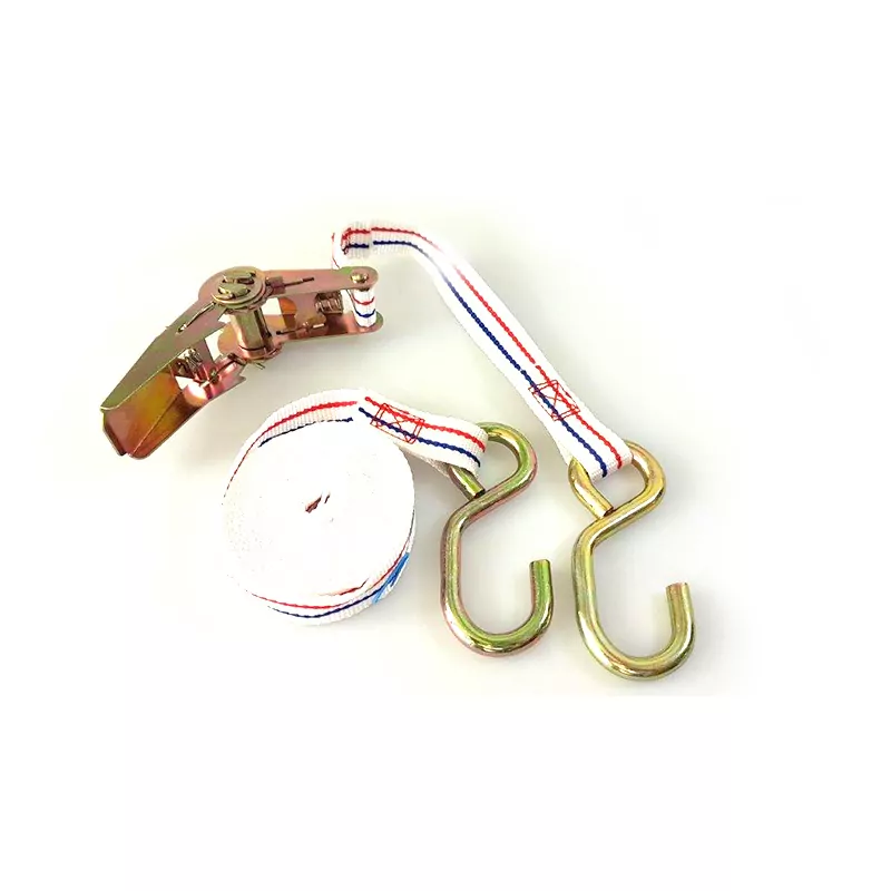 Spanngurt Zurrgurt mit Ratsche