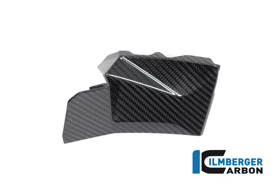 Ilmberger Carbon Abdeckung rechts neben Cockpit BMW S1000XR 2020- M1000XR 2024-