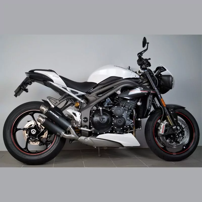 Bodis GPX 2 Endschalldämpfer Triumph Speed Triple 2018-2019