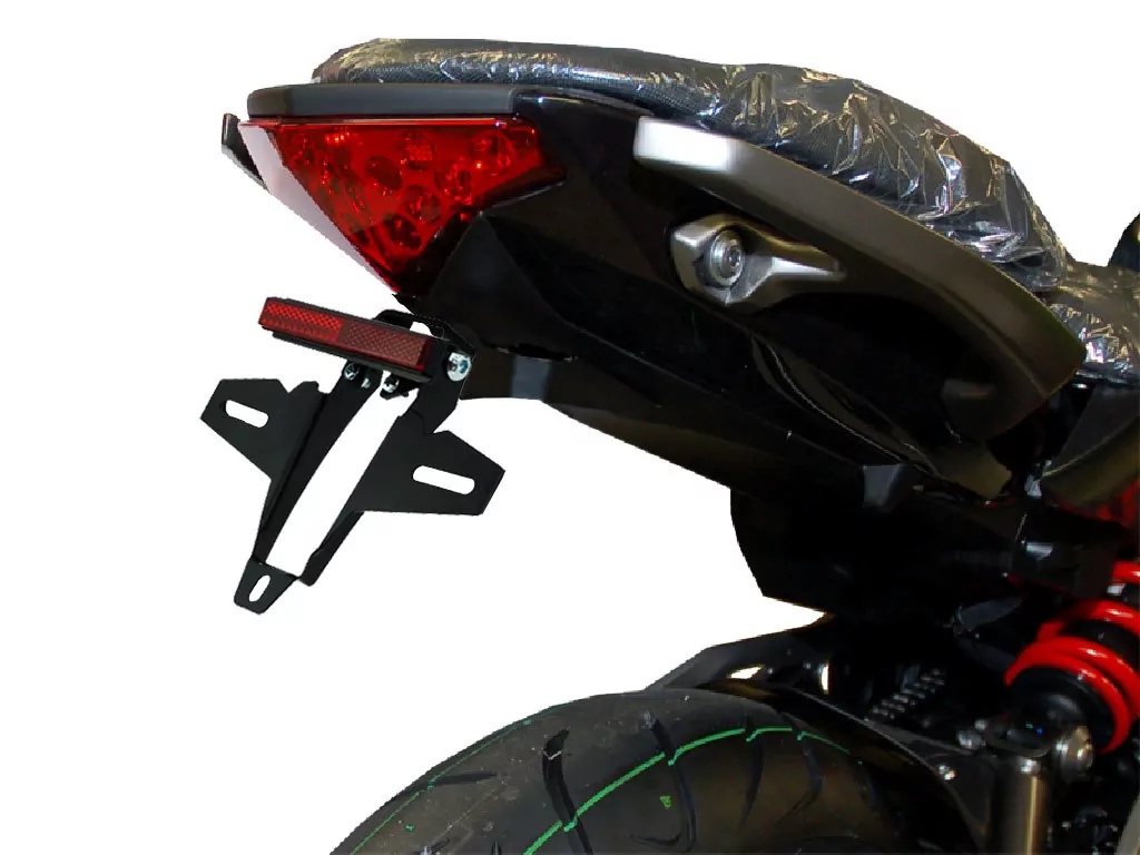 Kennzeichenhalter IQ4 für Kawasaki ER 6N ER 6F (2012-2016)