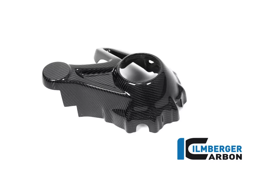 Kardangehäuseabdeckung Carbon für BMW R1250GS (Adventure) ab 2019
