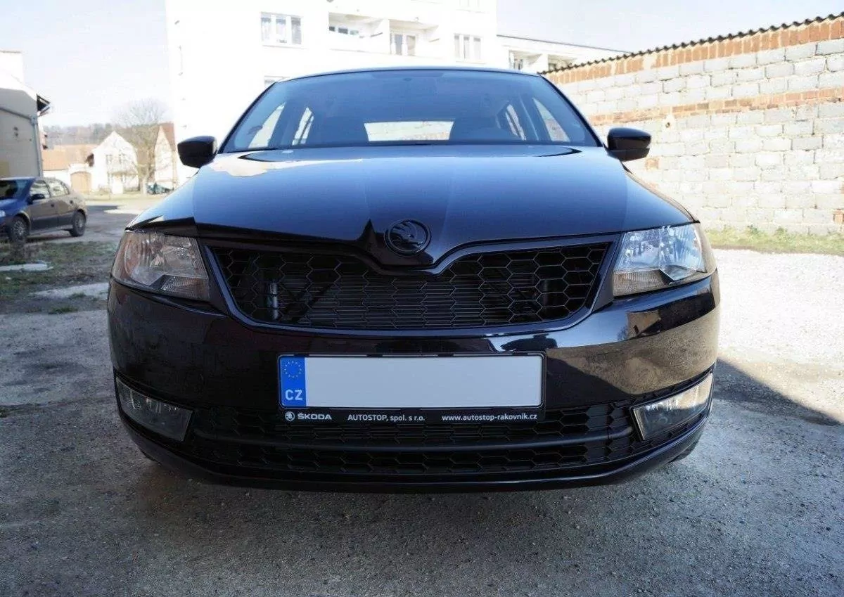 Kühler Grill Passend Für SKODA RAPID