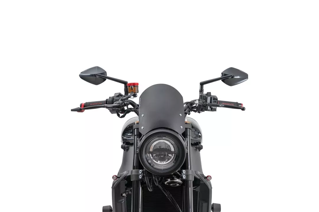 Barracuda Windschild Aerosport Aluminium für Yamaha XSR900