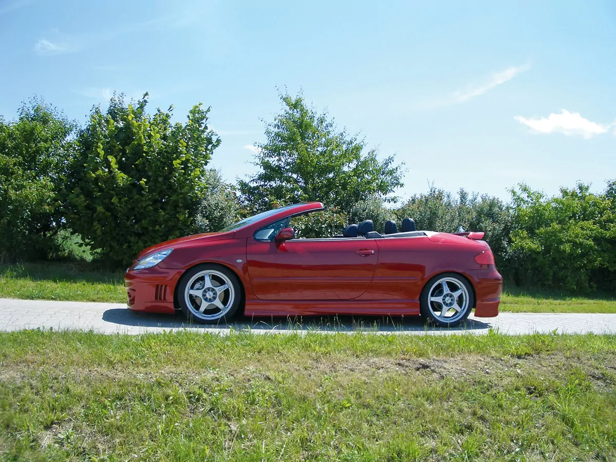 Rieger Seitenschweller für Peugeot 307 | Lim. 04.01-04.05 (bis Facelift) für 2- und 4-türer, nicht für SW