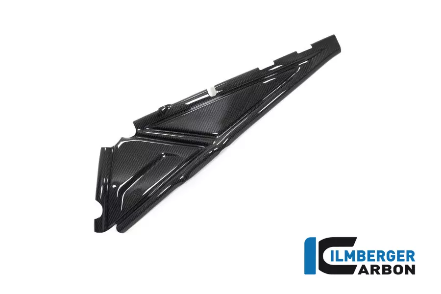 Rahmenheckcover links Carbon für BMW R1250GS (Adventure) ab 2019