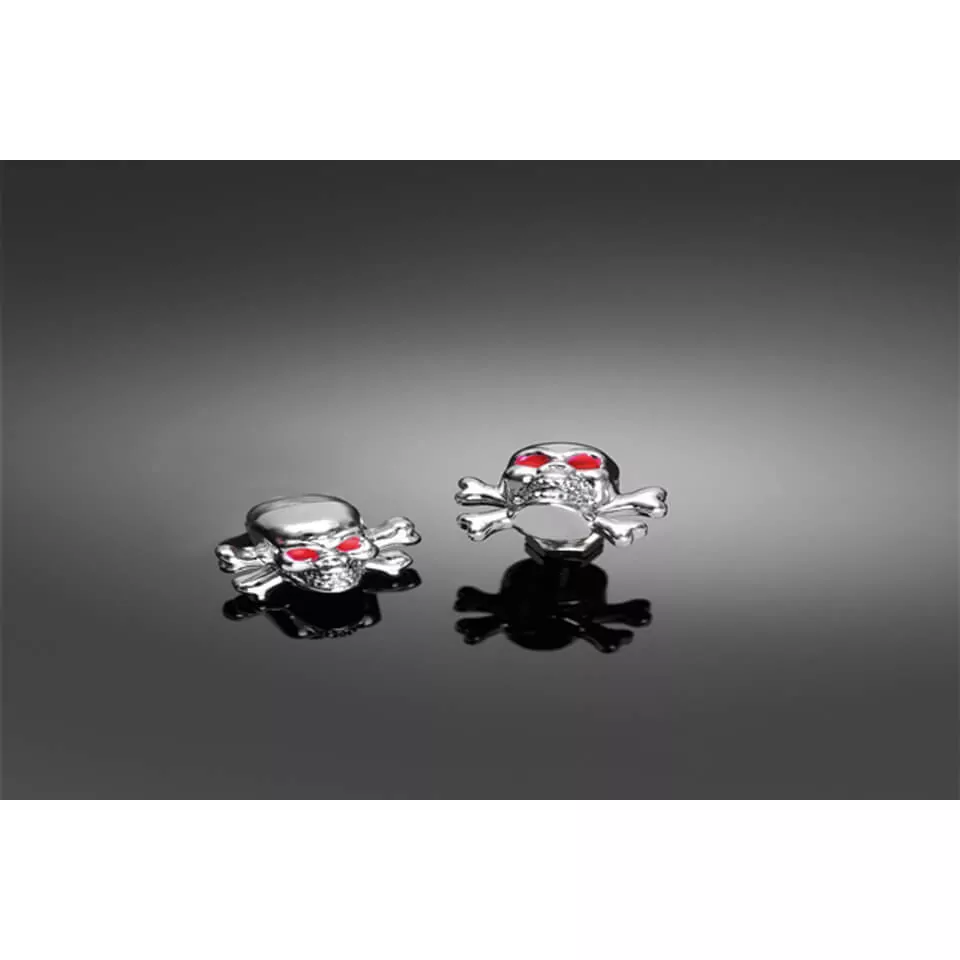 HIGHWAY HAWK HIGHWAY HAWK M6 Skull and Bones Muttern ABS in chrom