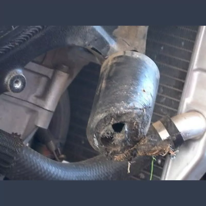 R&G Racing Sturzpads "No Cut" Suzuki GSX-R 1000 2003-2004