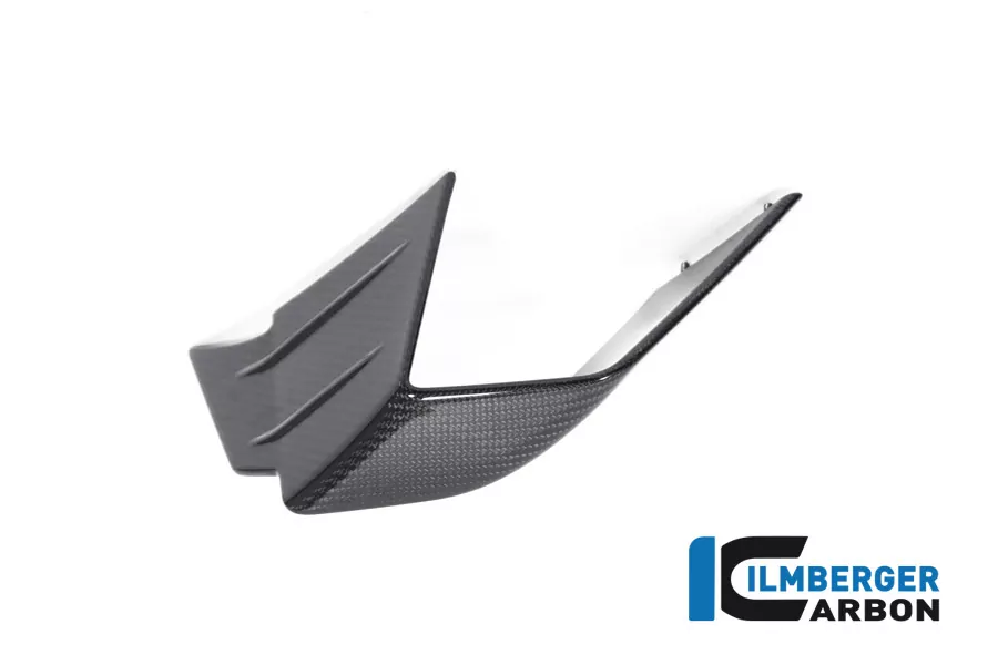 Verkleidungswinglet links aus Carbon für BMW M1000RR ab Modelljahr 2021-