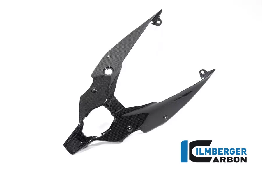 Ilmberger Carbon Ramenheckabdeckung unten glanz für Ducati Streetfighter V4 2020