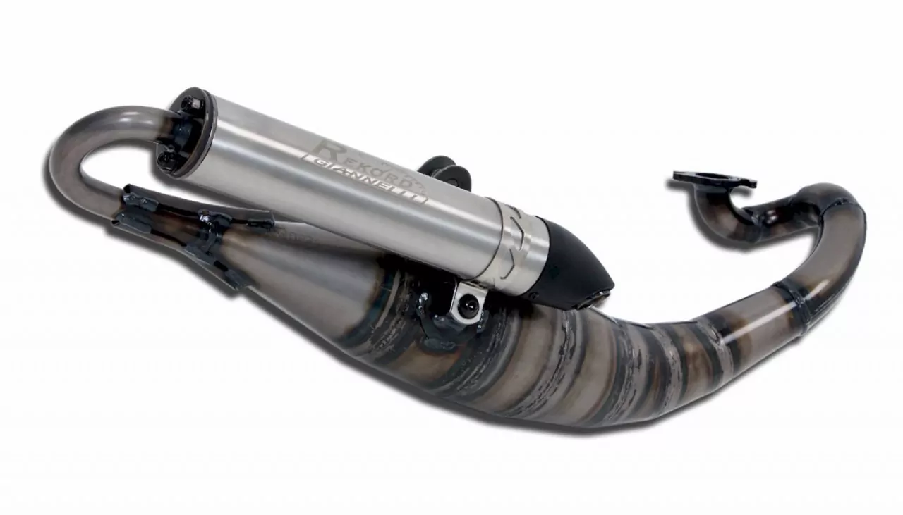 Giannelli Rekord MZ Anthony 50 ´11