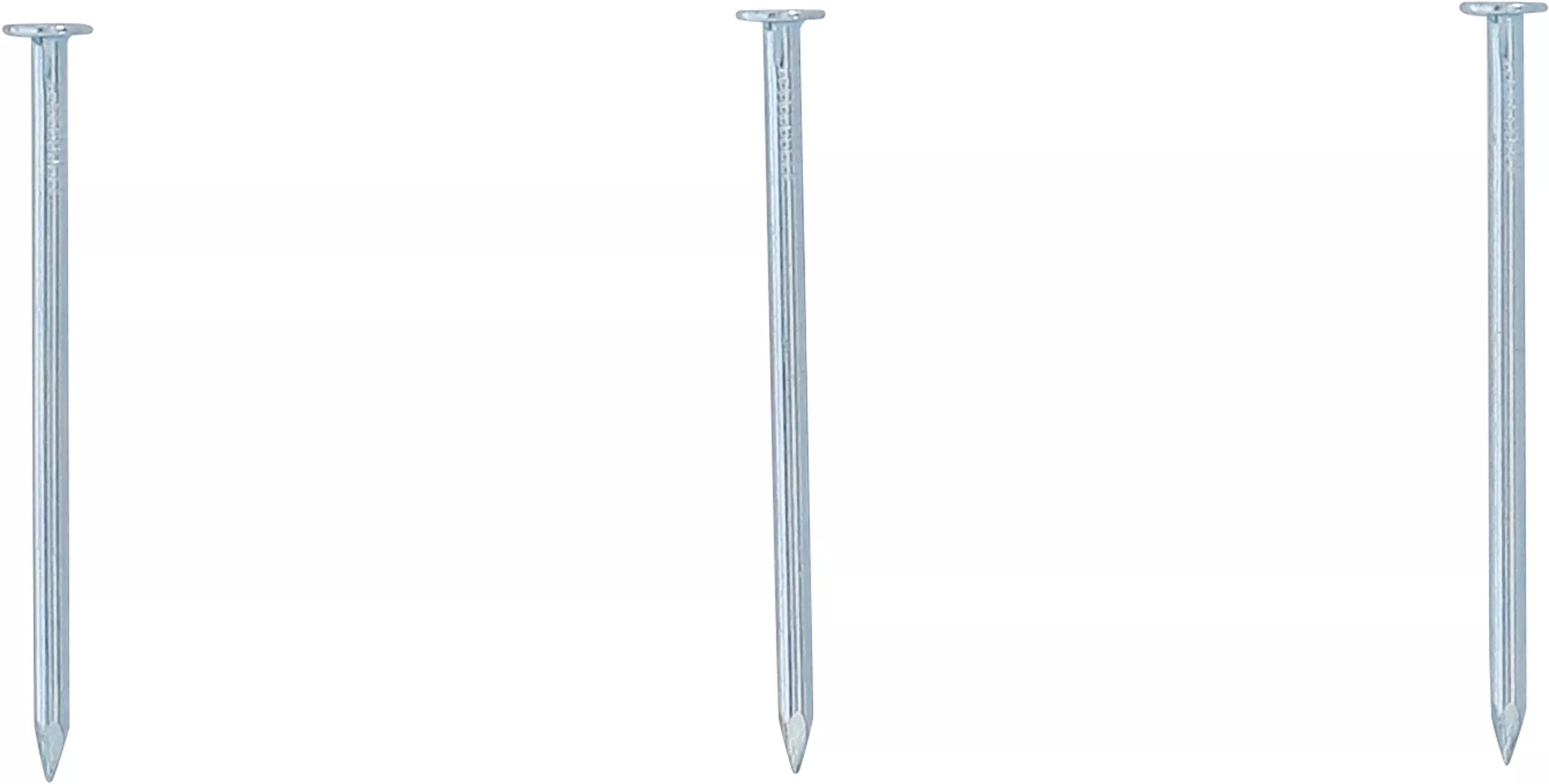 Nägel-Sortiment | 200 g | 2,5 x 50 mm