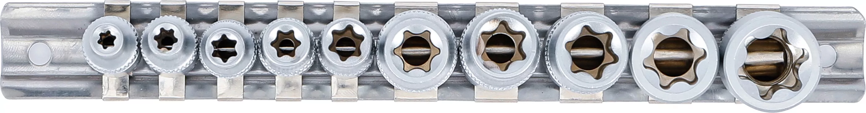 Steckschlüssel-Einsatz-Satz E-Profil | Antrieb Innenvierkant 6,3 mm (1/4") / 10 mm (3/8") | SW E4 - E16 | 10-tlg.