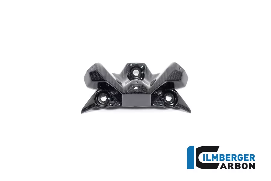 Ilmberger Carbon Windschild glänzend BMW S1000R 2020- M1000R 2023-