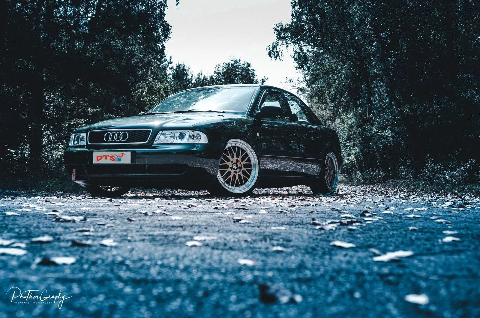 DTSLine Gewindefahrwerk SX  AUDI A4 Avant (B5) 8D5, B51 11/1994-12/2002