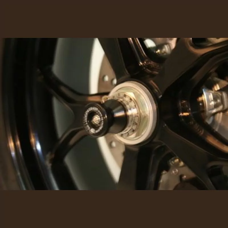 R&G Racing Schwingen Protektoren Ducati Monster 796 / S4 RS