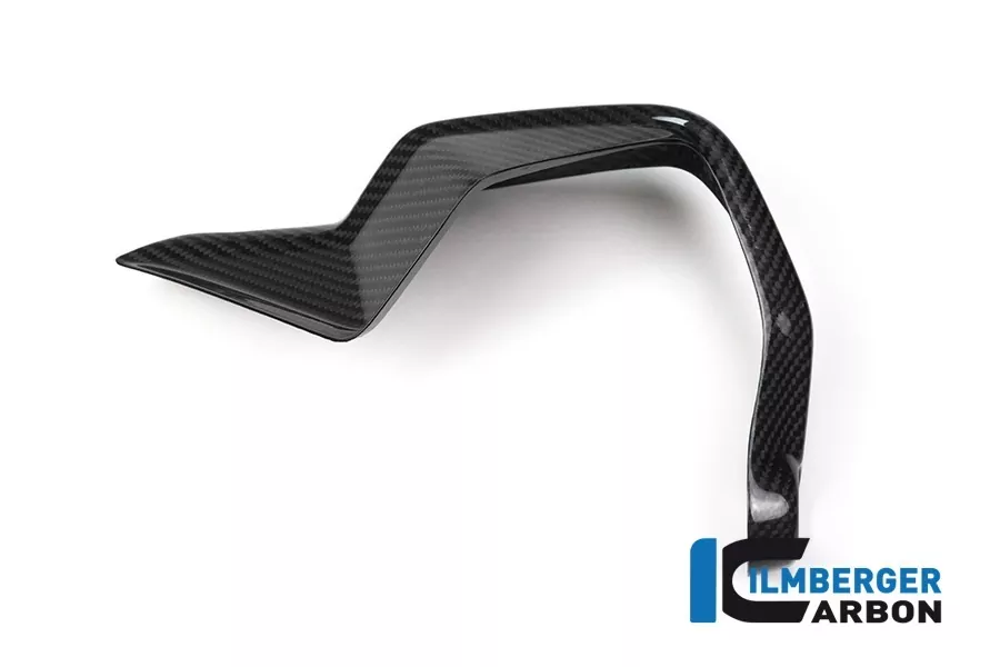 Ilmberger Carbon Handprotektoren rechts BMW S1000XR 2015- M1000XR 2024-