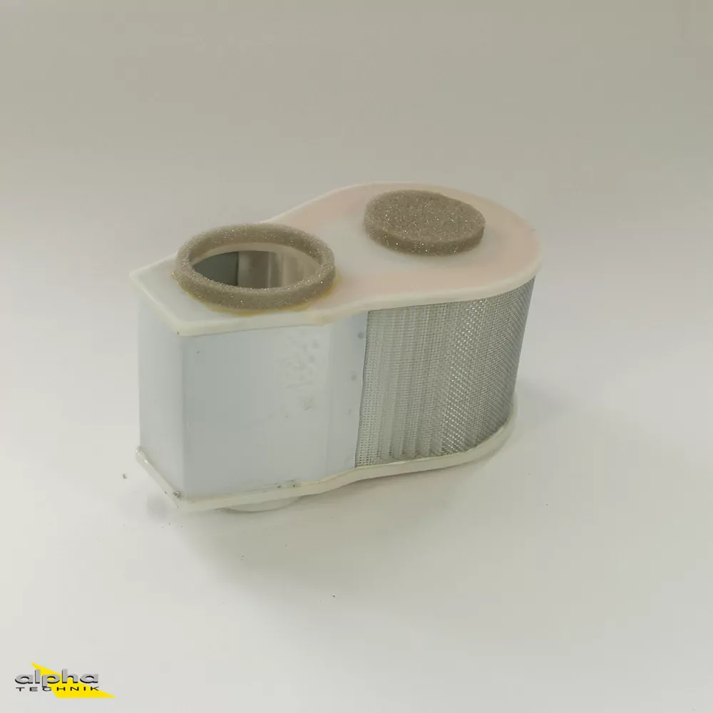 Fuji Luftfilter fürYamaha XVZ1300 A
