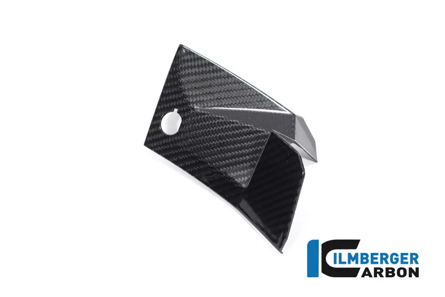 Ilmberger Carbon Abdeckung links neben Cockpit BMW S1000XR ab 2020- M1000XR 2024-