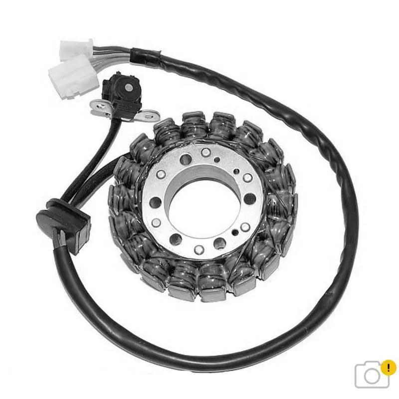 ElectroSport Stator ESG793 für Lichtmaschine