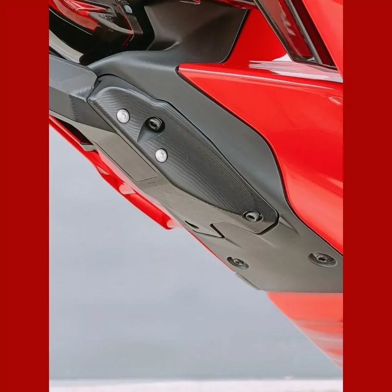 Lightech Kennzeichenhalter Ducati Panigale V4 / V4 S 2025-