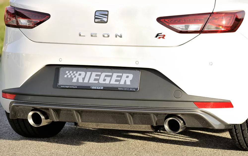 Friedrich Gruppe A Duplex-Anlage li/re, je 1x100mm für Seat Leon FR (5F) 3-tür. (SC) 01.13-