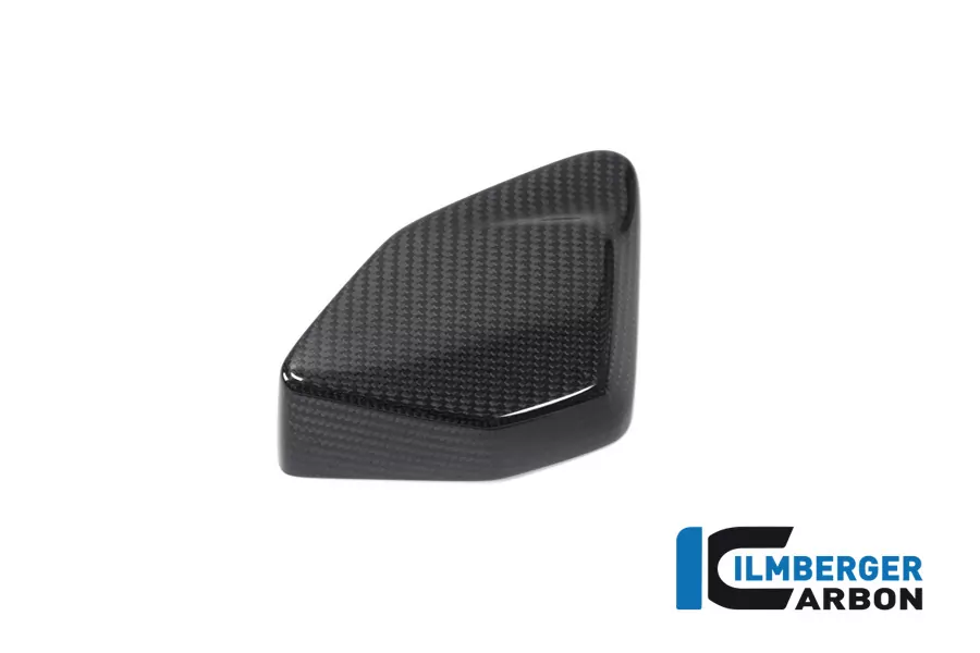 Abdeckung ESA Box Carbon für BMW R 1250 GS ab 2019