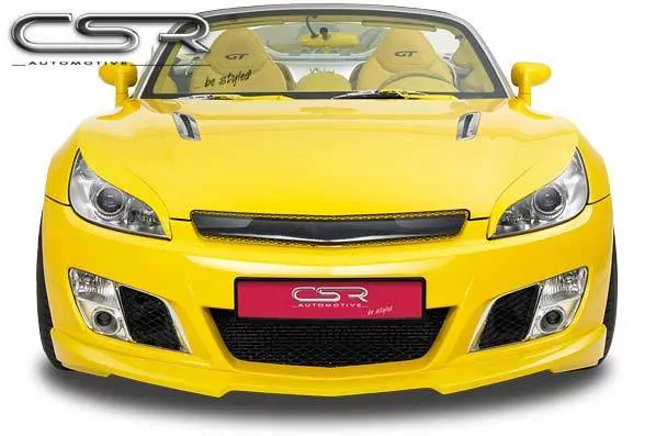 Kühlergrill Frontgrill für Opel GT Roadster GL051