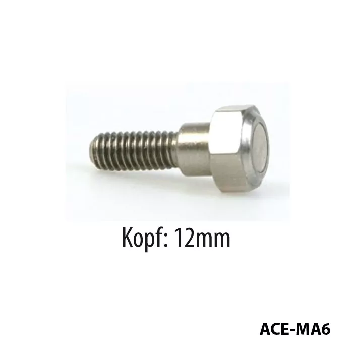 Bremsscheibenschrauben mit Magnet für Yamaha M6 x 1,00 x 25 mm | Kopf 12 mm