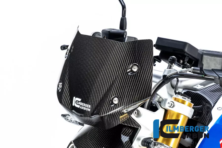 Ilmberger Carbon Windschild Carbon für BMW R1250R R1250RS 2019-