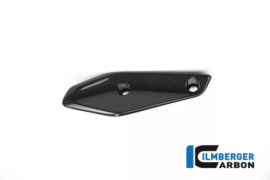 Ilmberger Carbon Verkleidungswinglet rechts